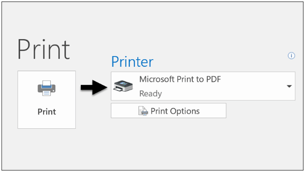 Print to PDF